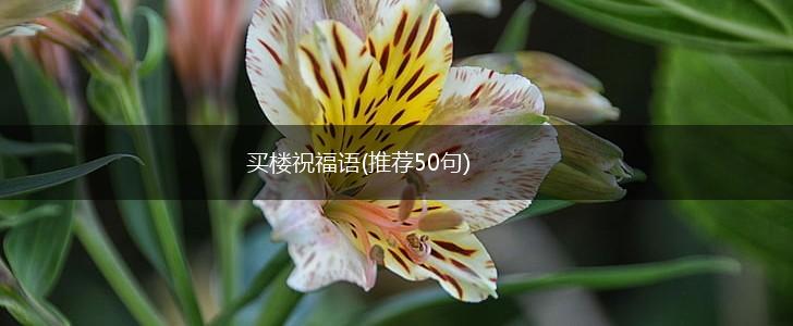买楼祝福语(推荐50句),第1张
