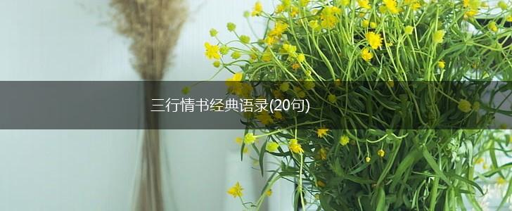 三行情书经典语录(20句),第1张