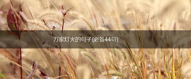 万家灯火的句子(必备44句),第1张