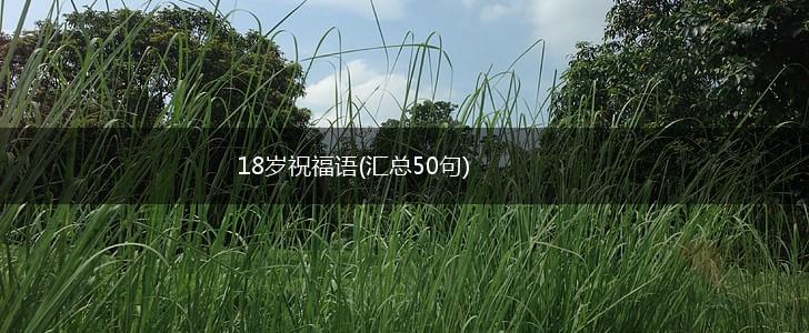 18岁祝福语(汇总50句),第1张