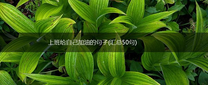 上班给自己加油的句子(汇总50句),第1张