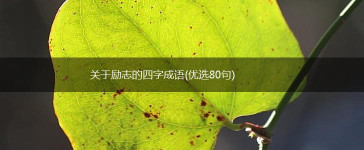 关于励志的四字成语(优选80句),第1张