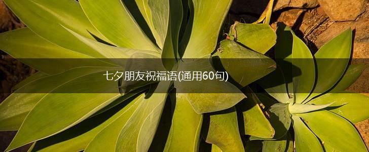 七夕朋友祝福语(通用60句),第1张