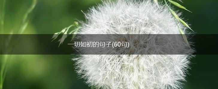 一切如初的句子(60句),第1张