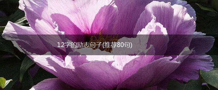 12字的励志句子(推荐80句),第1张