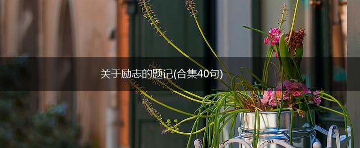 关于励志的题记(合集40句),第1张