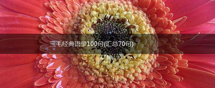 三毛经典语录100句(汇总70句),第1张
