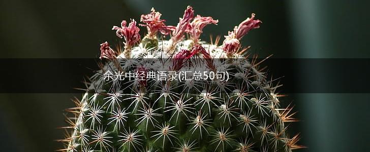余光中经典语录(汇总50句),第1张