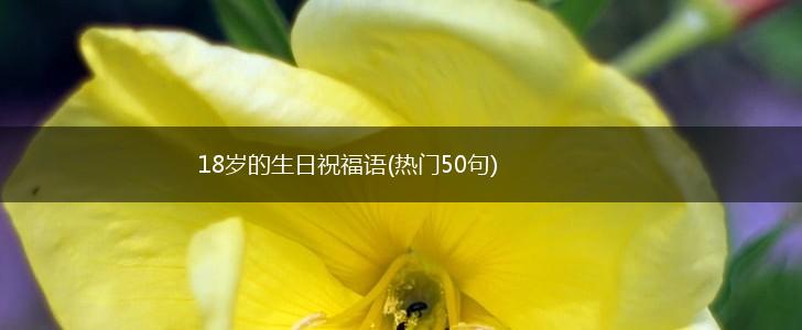 18岁的生日祝福语(热门50句),第1张
