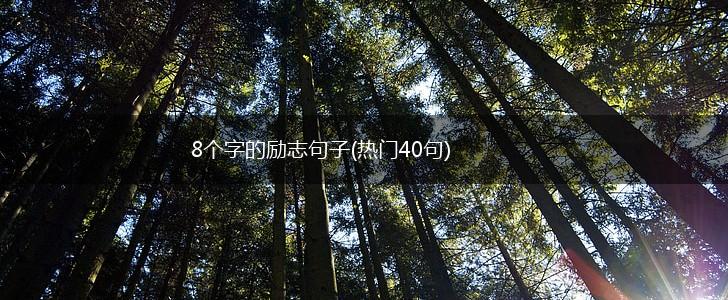 8个字的励志句子(热门40句),第1张