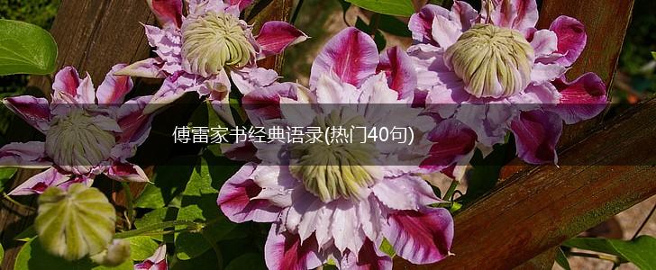 傅雷家书经典语录(热门40句),第1张