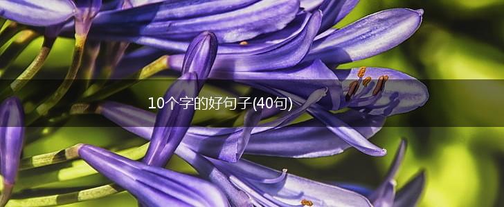 10个字的好句子(40句),第1张