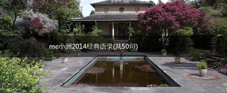mc小洲2014经典语录(共50句),第1张