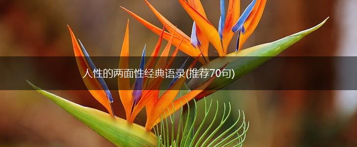 人性的两面性经典语录(推荐70句),第1张