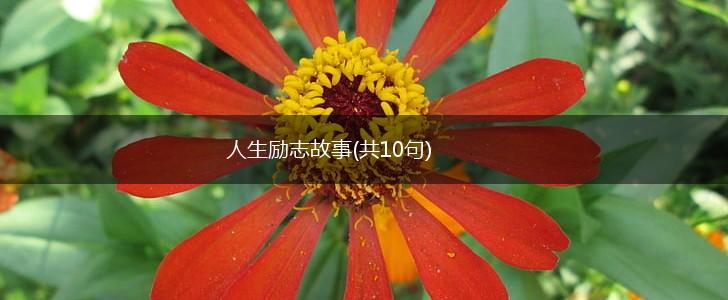 人生励志故事(共10句),第1张