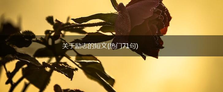 关于励志的短文(热门71句),第1张
