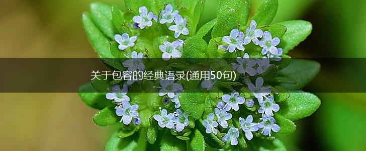 关于包容的经典语录(通用50句),第1张