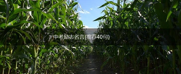 中考励志名言(推荐40句),第1张