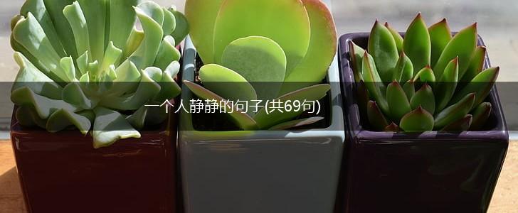 一个人静静的句子(共69句),第1张