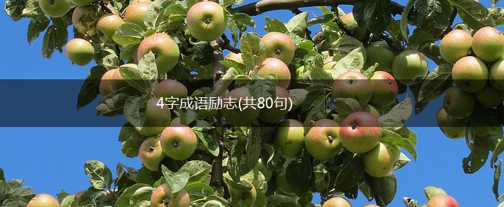 4字成语励志(共80句),第1张