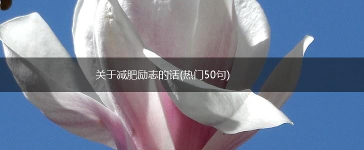 关于减肥励志的话(热门50句),第1张