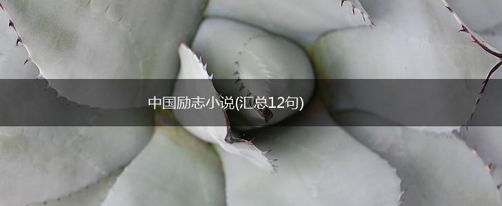 中国励志小说(汇总12句),第1张