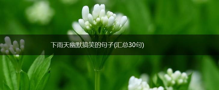 下雨天幽默搞笑的句子(汇总30句),第1张