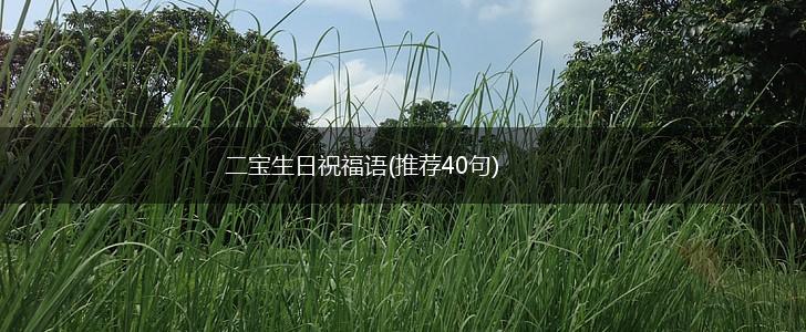 二宝生日祝福语(推荐40句),第1张