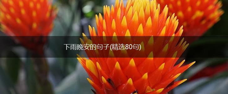 下雨晚安的句子(精选80句),第1张