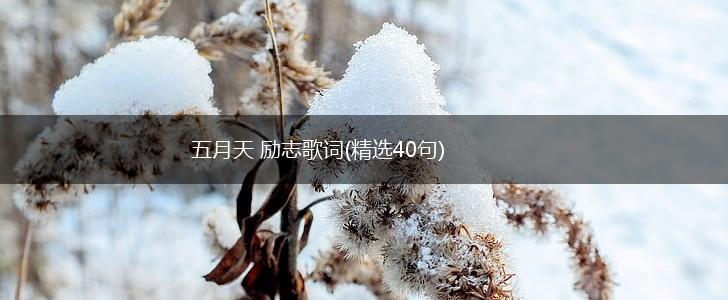 五月天 励志歌词(精选40句),第1张