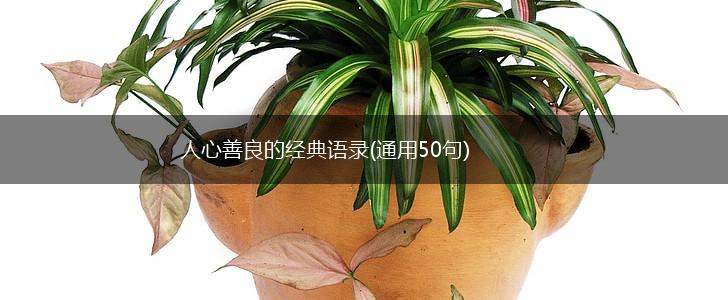 人心善良的经典语录(通用50句),第1张