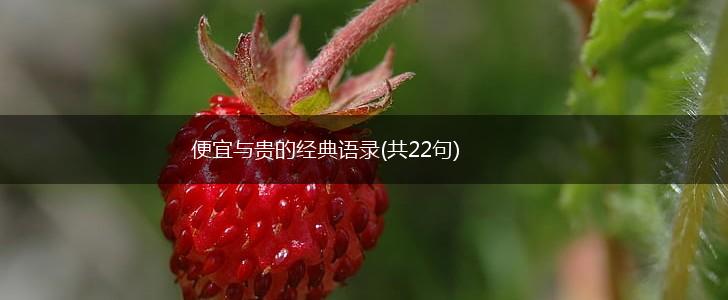 便宜与贵的经典语录(共22句),第1张