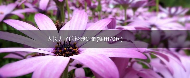 人长大了的经典语录(实用70句),第1张