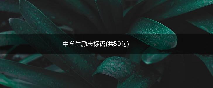 中学生励志标语(共50句),第1张