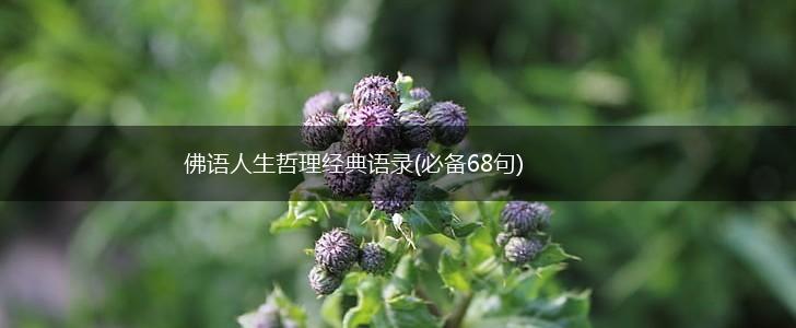 佛语人生哲理经典语录(必备68句),第1张