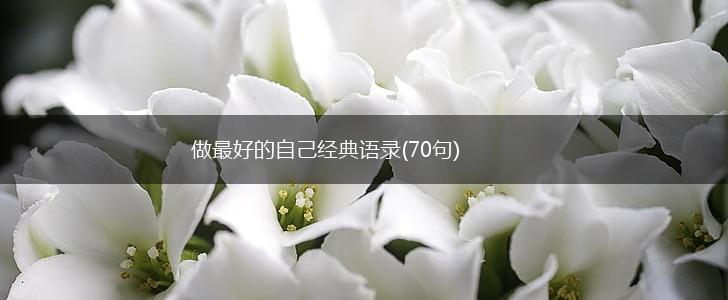 做最好的自己经典语录(70句),第1张