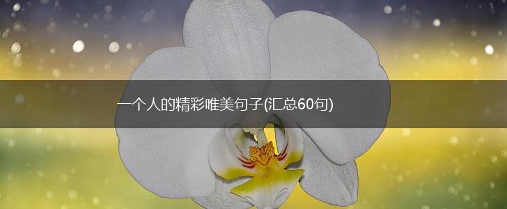 一个人的精彩唯美句子(汇总60句),第1张