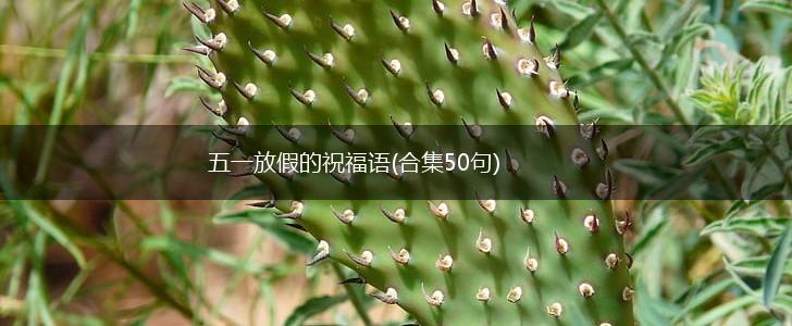 五一放假的祝福语(合集50句),第1张