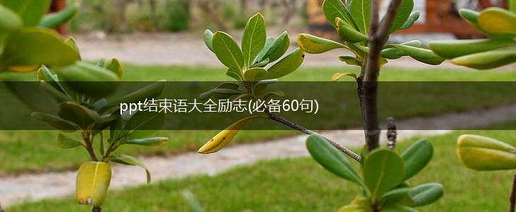 ppt结束语大全励志(必备60句),第1张