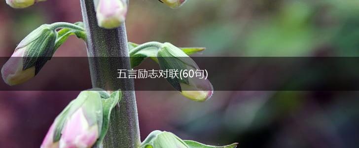 五言励志对联(60句),第1张