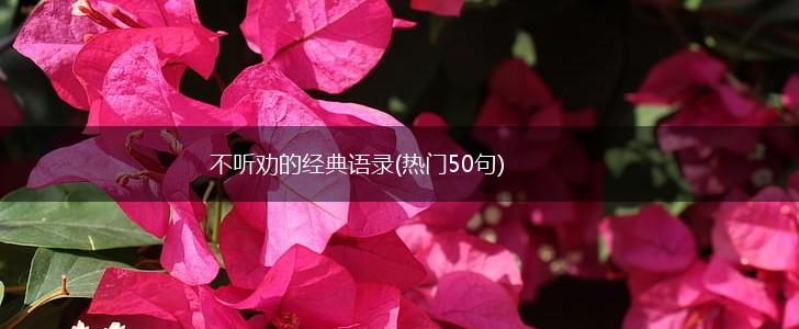 不听劝的经典语录(热门50句),第1张
