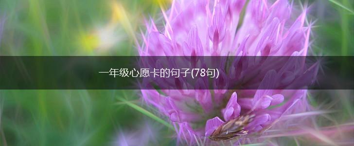 一年级心愿卡的句子(78句),第1张