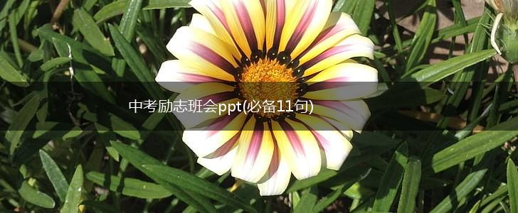 中考励志班会ppt(必备11句),第1张