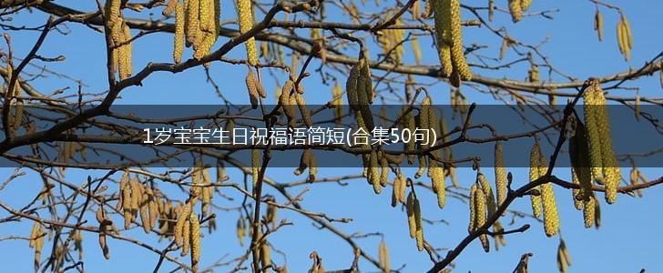 1岁宝宝生日祝福语简短(合集50句),第1张