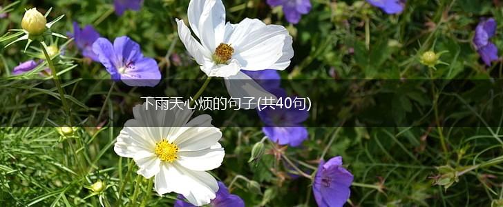 下雨天心烦的句子(共40句),第1张