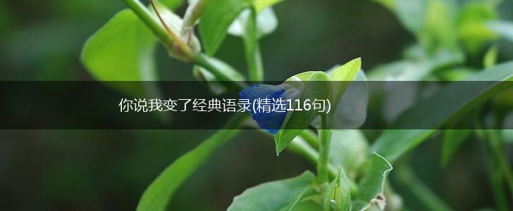 你说我变了经典语录(精选116句),第1张