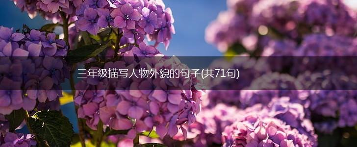 三年级描写人物外貌的句子(共71句),第1张