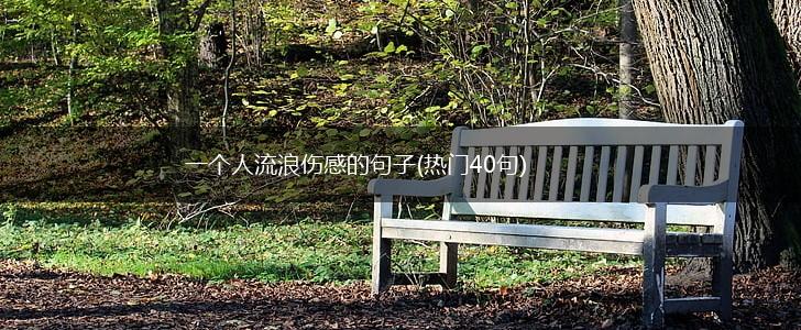 一个人流浪伤感的句子(热门40句),第1张