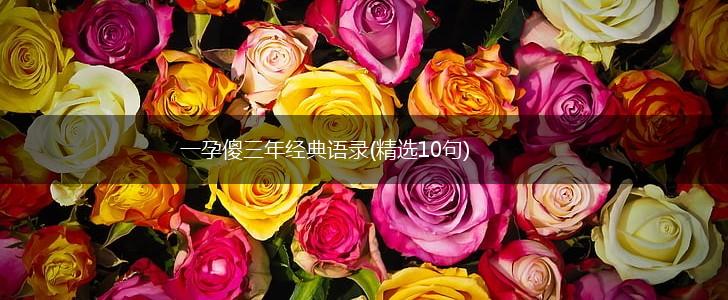 一孕傻三年经典语录(精选10句),第1张