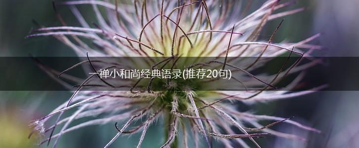 一禅小和尚经典语录(推荐20句),第1张